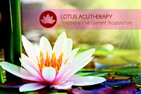 Lotus Acutherapy 721293 Image 1